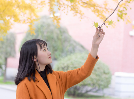 菲律宾结婚证价格 结婚证费用